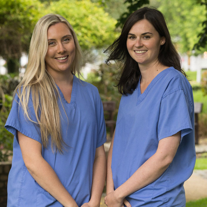 Come meet our friendly team